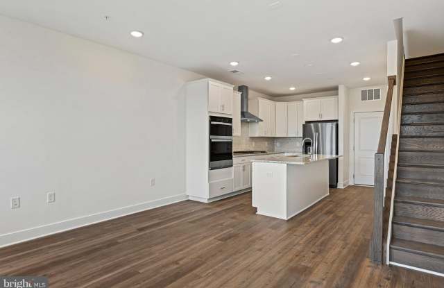 19872 YELLOW DAISY Terrace photos photos