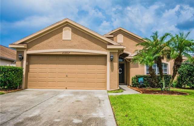 23807 PLANTATION PALMS BOULEVARD Gallery 2