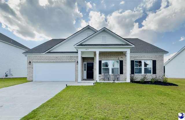 1013 SummerDuck Loop - 1013 Summer Duck Loop, Florence County, SC 29501