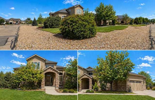 Bright Corner-Lot Home in Desirable Niwot Neighborhood photos photos Bright Corner-Lot Home in Desirable Niwot Neighborhood photos photos