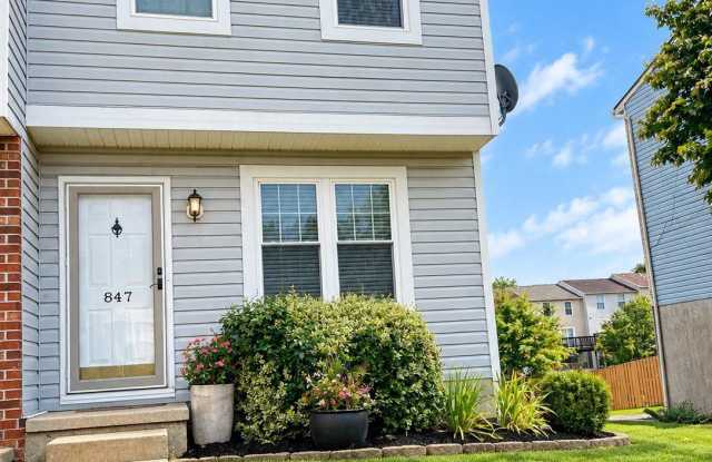 847 CLOVER LEAF Court Gallery 1