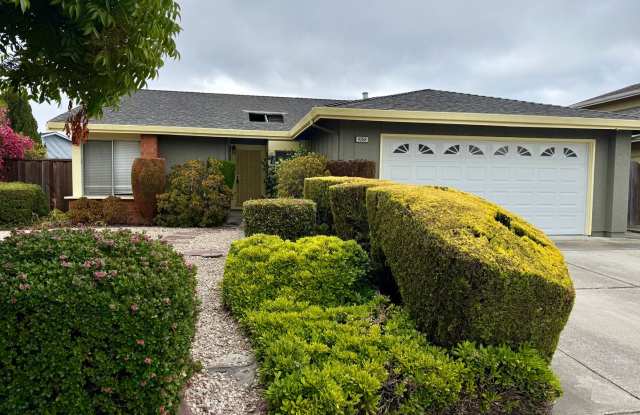 $3800 Beautifully Remodeled Ardenwood Home – Prime Fremont Location! photos photos