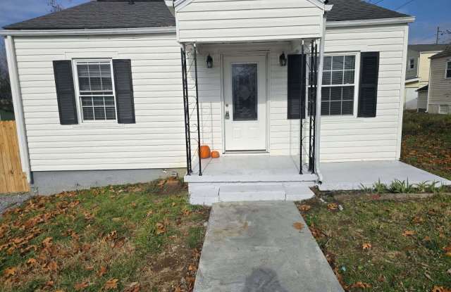 11 Birch Street photos photos 11 Birch Street photos photos