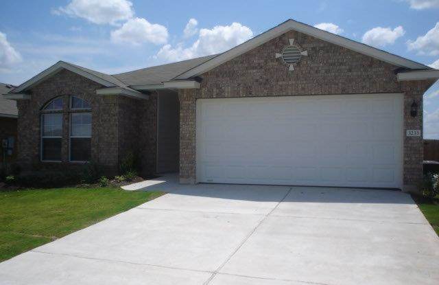 3233 Corrigan Lane - 3233 Corrigan Ln, Round Rock, TX 78665