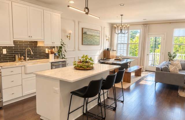 GORGEOUS MOVE IN READY TOWNHOME Gallery 3
