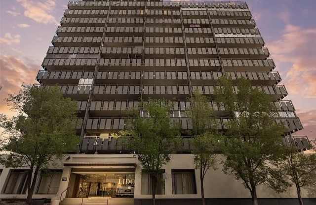 790 N Washington St Apt 405 - 790 North Washington Street, Denver, CO 80203
