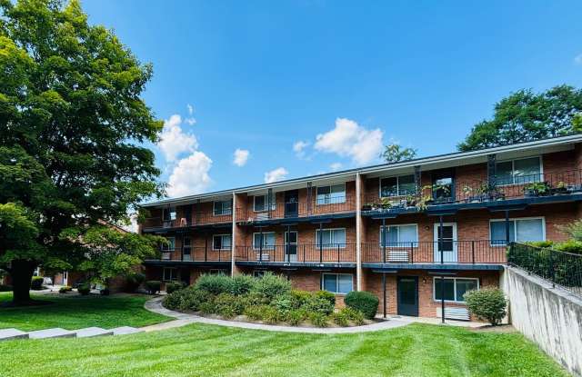 2 Bedroom, 1 Bath Apartment Gallery 3