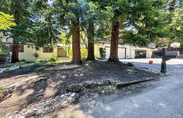Gorgeous Single Level Home with Pool in Alamo Available Now! photos photos