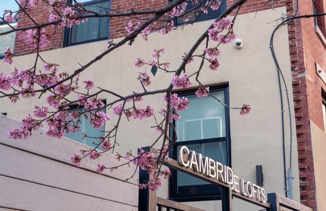 Cambridge Loft photos photos