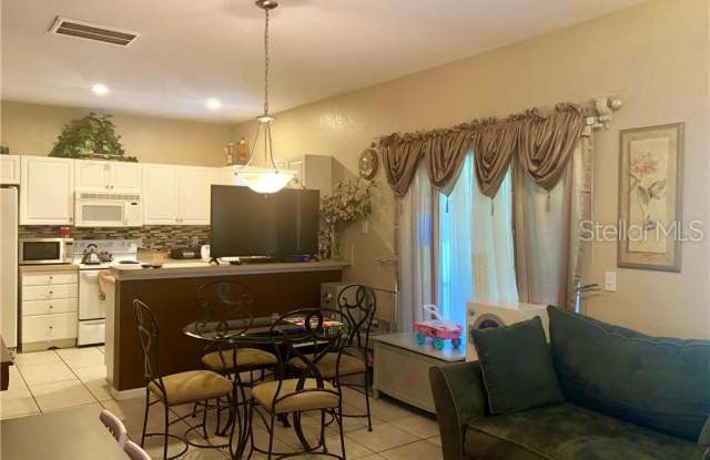 16312 FAIRFORD PALMS COURT Gallery 4
