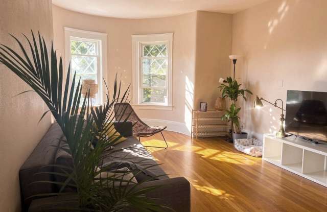 307 Tappan Street Gallery 1