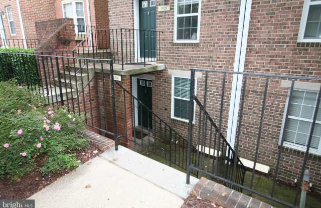 3924 CHESTERWOOD Drive Gallery 1