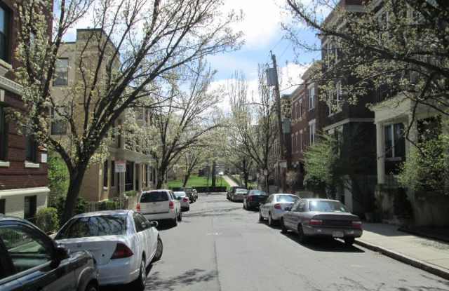 Carol Avenue Gallery 1