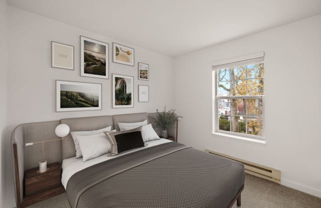 Larkspur Place Gallery 3