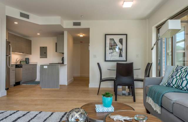 Modern 2BD+2BA Allston @ BU & Packard's Corner Gallery 4
