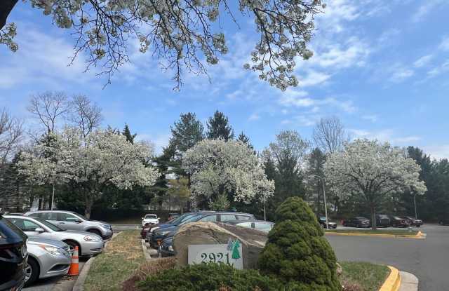 2921 N LEISURE WORLD Boulevard Gallery 2