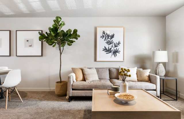 2 Bed 1 Bath in Orem! Gallery 4