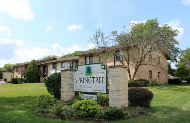 Springtree photos photos Springtree photos photos