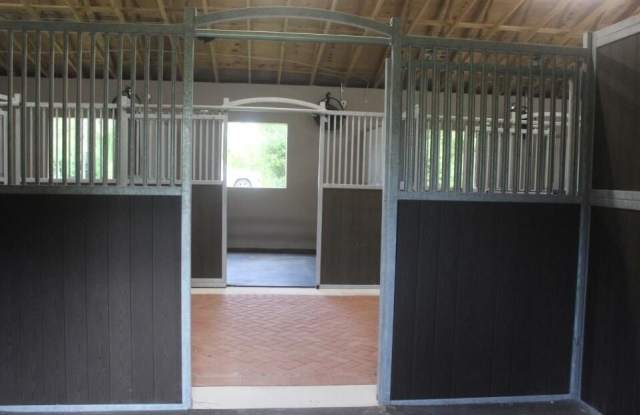 14407 HALTER Road Gallery 4