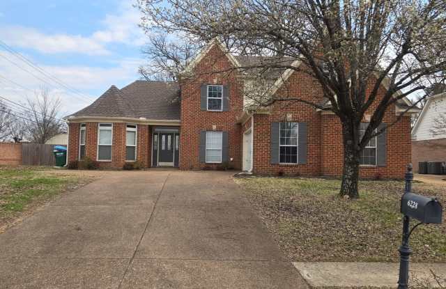 Gorgeous Corner Lot Arlington Home For Rent photos photos