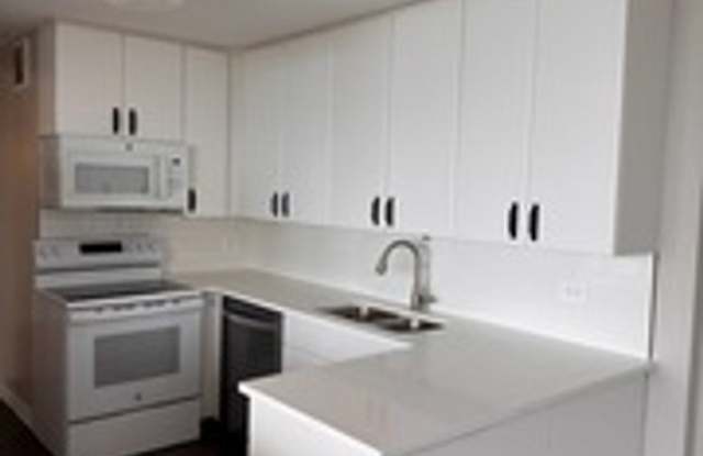 505 N Lake Shore Dr. 1407-1408, Chicago, 60611 Gallery 3