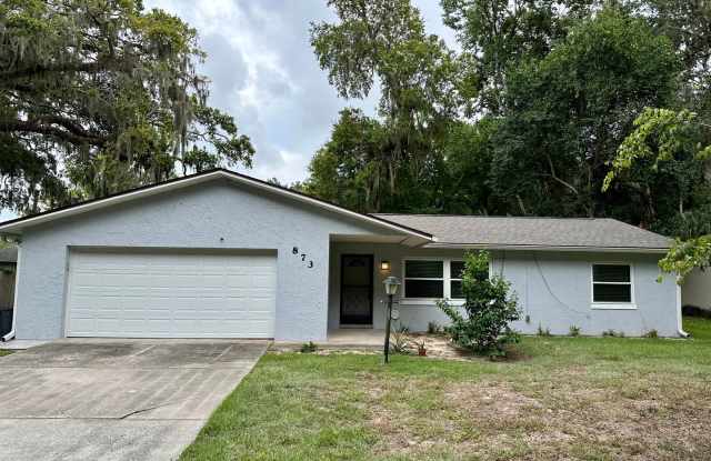Fully remodeled 3/2 home for rent in the heart of Port Orange - 873 Nixon Lane, Port Orange, FL 32129