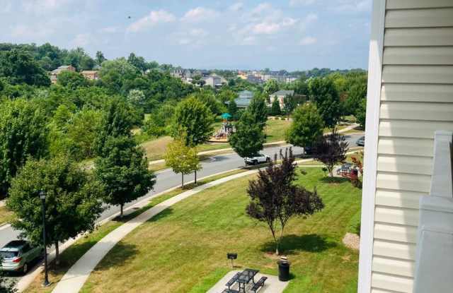 Well-appointed Furnished Rental- Perfect for Professionals- Near shops & restaurants photos photos