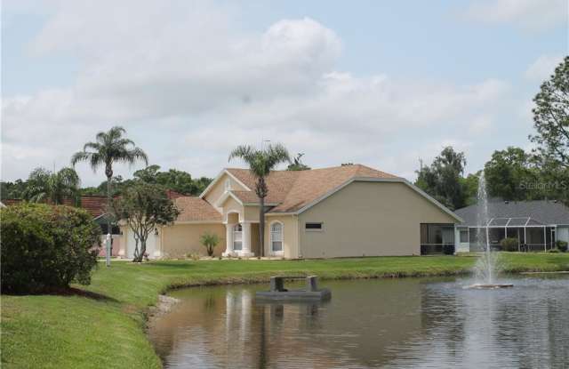 4402 WINDING OAKS CIRCLE Gallery 2