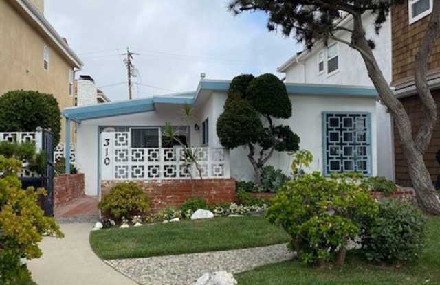 310 Narcissus Gallery 2
