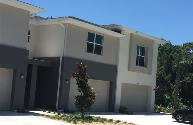 12808 SANCTUARY VISTA TRAIL - 12808 Sanctuary Vista Trail, Citrus Park, FL 33625