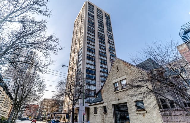 70 West Burton Place - 70 West Burton Place, Chicago, IL 60610