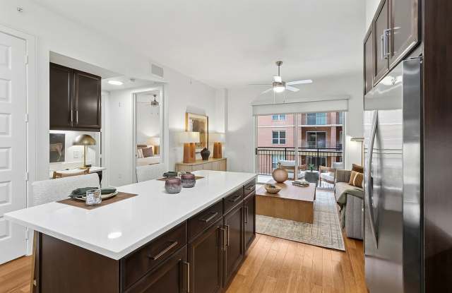 The William photos photos The William photos photos