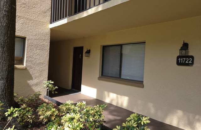 11722 RAINTREE LAKE LANE photos photos