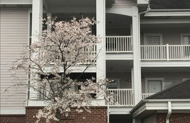 9123 Meadow  Vista Rd. - 9123 Meadow Vista Road, Charlotte, NC 28213