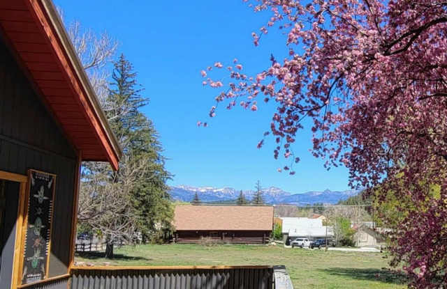 Downtown Pagosa Springs Gem – Fully Renovated 4BR Home! photos photos