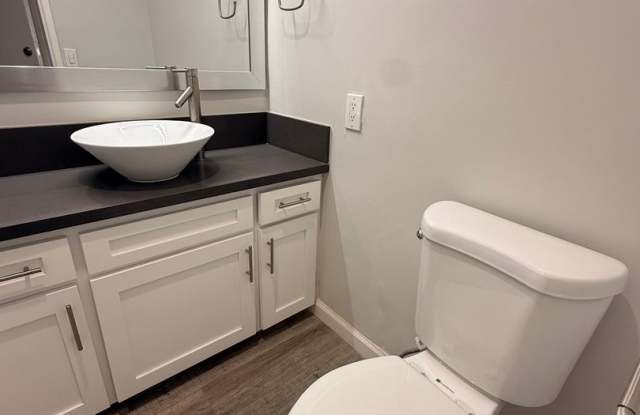 The Shelby Apartments Gallery 4