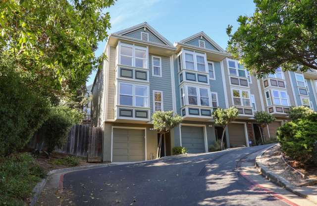2 Bed / 1 Bath townhome in sunny Potrero Hill. YouTube tour!! photos photos