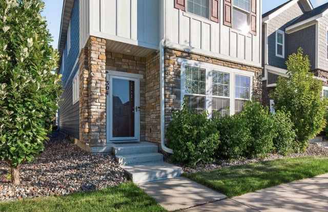 Anoka Detached Townhome photos photos Anoka Detached Townhome photos photos