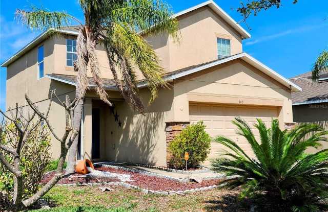 949 SEMINOLE SKY DRIVE photos photos