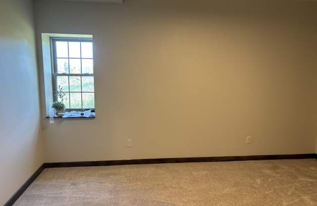 18203 Blessed Ln - 18203 Blessed Lane, Loudoun County, VA 20175
