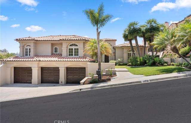 33781 Shannon Lane - 33781 Shannon Lane, San Juan Capistrano, CA 92675