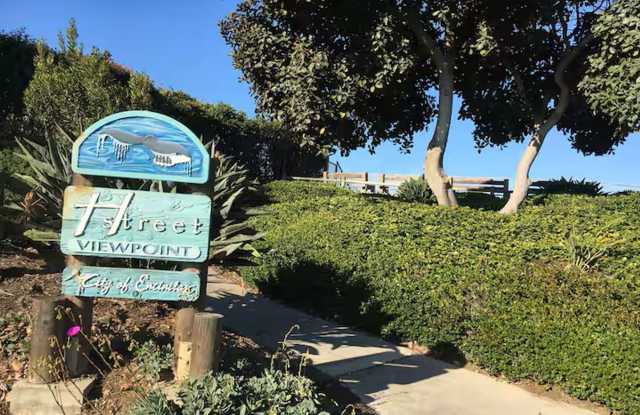 Luxe 3-Bedroom, 3-Bath Beach Home in Encinitas – w Furnished Option! Showing Today! Gallery 3