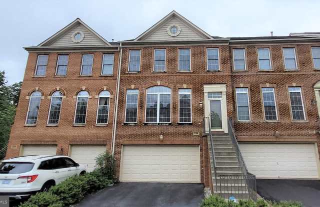 5344 BLUE ASTER Circle photos photos