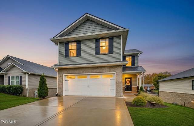 35 Palmetto Court - 35 Palmetto Court, Gray, TN 37615