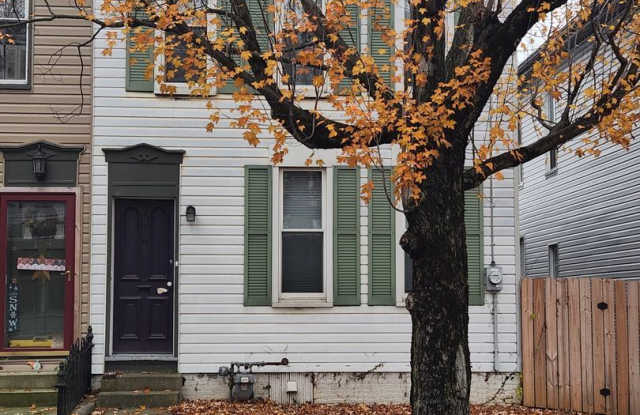 176 S Main Street - 176 South Main Street, Manheim, PA 17545