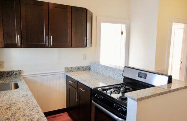 119 Lexington St. - 119 Lexington Street, Boston, MA 02128