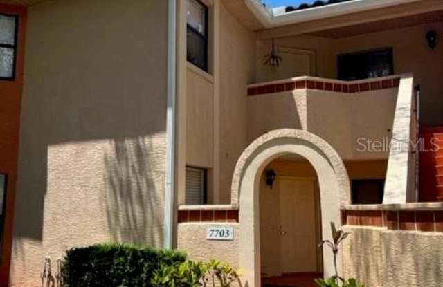 7703 SUGAR BEND DRIVE - 7703 Sugar Bend Drive, Doctor Phillips, FL 32819