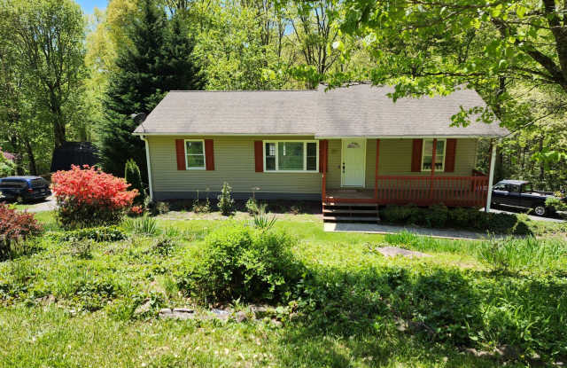 Mills River Rental! - Bonus spaces! photos photos