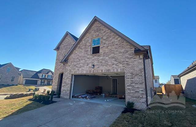 10007 Messana Cv photos photos