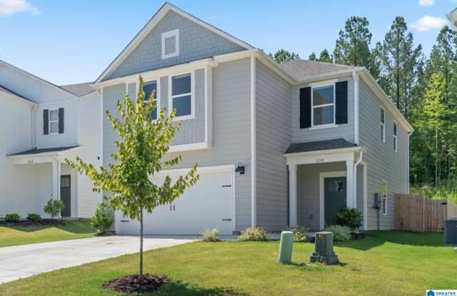 220 CHELSEA PARK CIRCLE photos photos